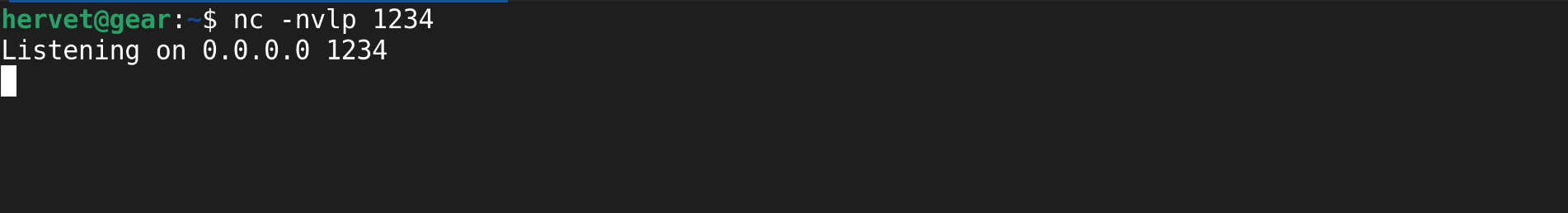 Netcat listener